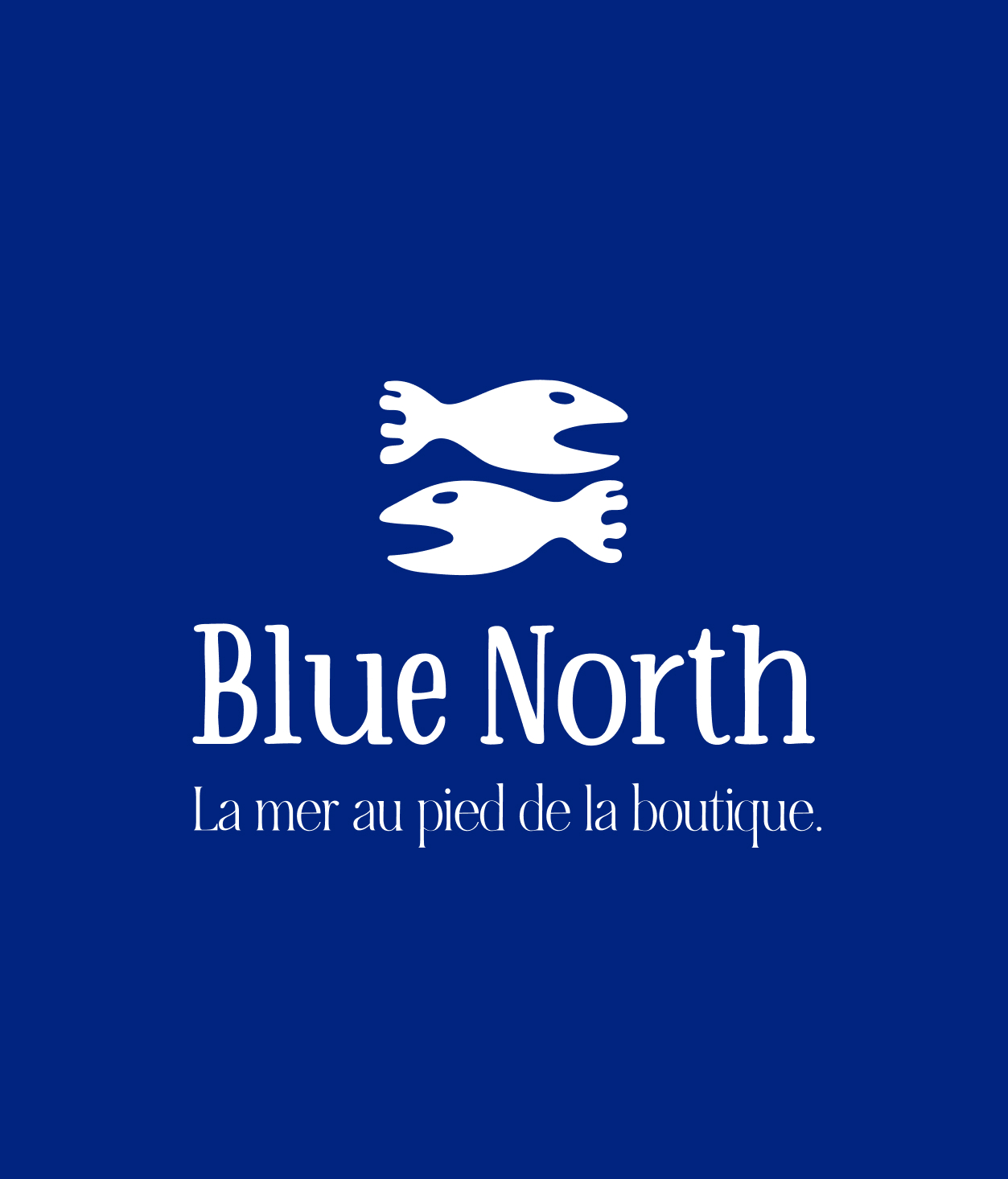 Blue-North brand preview