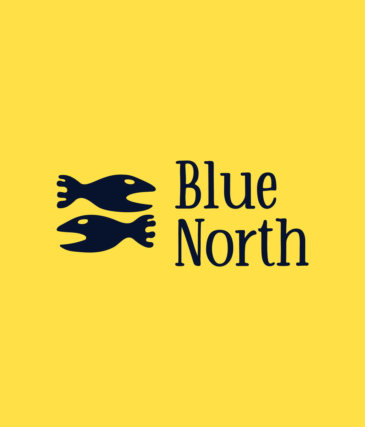 Blue-North brand preview