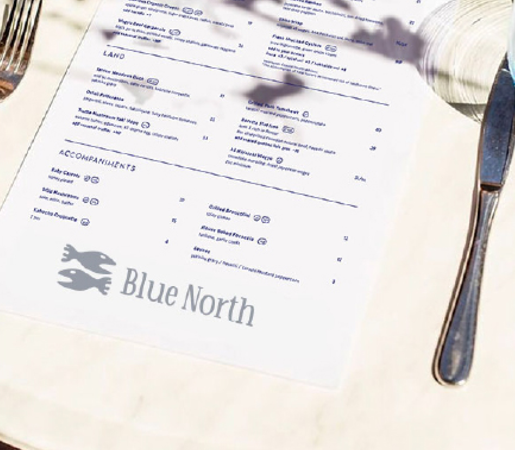 Blue-North brand preview