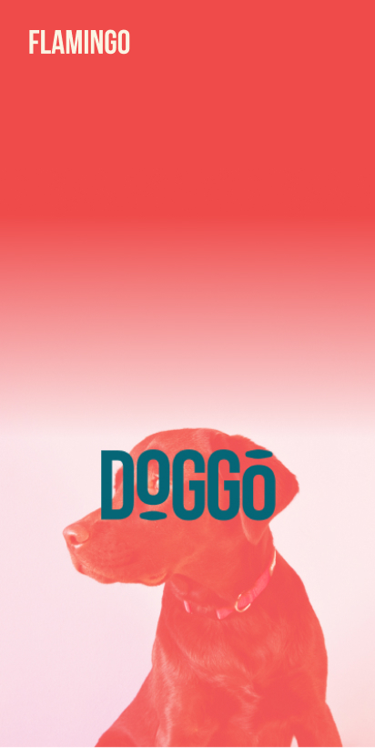 Doggo brand preview